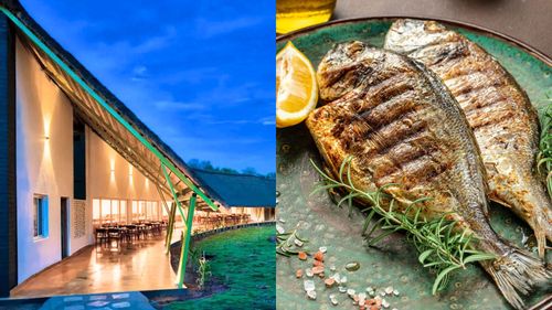 Best Restaurants In Kabini You Definitely Cannot Miss Out On